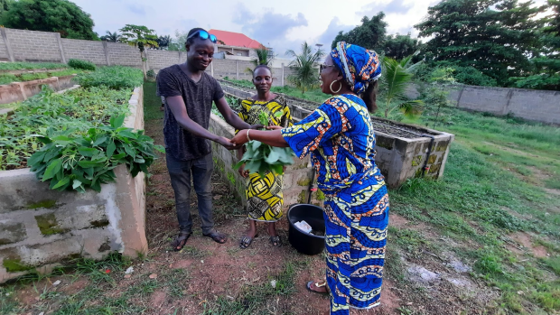Emmaüs Tohouè-Bénin : projet de culture maraîchère en bacs soutenu par Emmaüs Jura